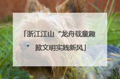 浙江江山“龙舟载童趣” 掀文明实践新风