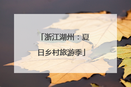 浙江湖州：夏日乡村旅游季