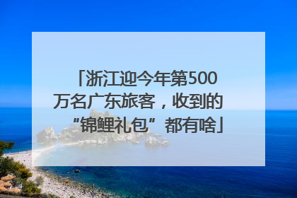 浙江迎今年第500万名广东旅客，收到的“锦鲤礼包”都有啥