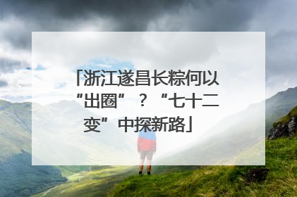 浙江遂昌长粽何以“出圈”？“七十二变”中探新路