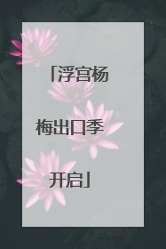 浮宫杨梅出口季开启