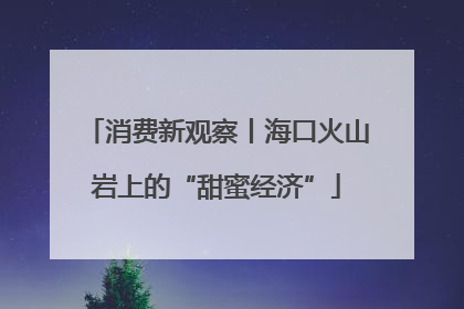 消费新观察丨海口火山岩上的“甜蜜经济”