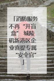 消防服务不再“开盲盒” 城陵矶新港区企业喜提专属“安全官”