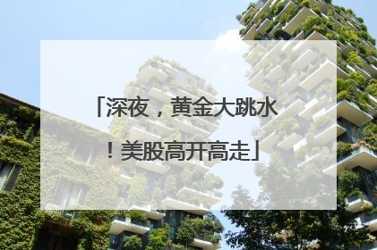 深夜，黄金大跳水！美股高开高走