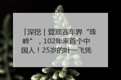 深挖｜登顶赛车界“珠峰”，102年来首个中国人！25岁的叶一飞凭什么创造历史？