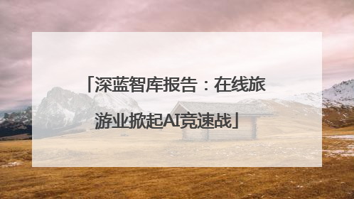 深蓝智库报告：在线旅游业掀起AI竞速战