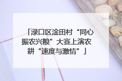 渌口区淦田村“同心振农兴粮”大赛上演农耕“速度与激情”