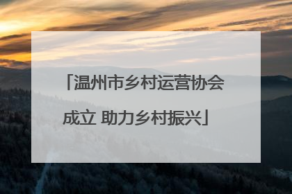 温州市乡村运营协会成立 助力乡村振兴