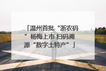 温州首批“浙农码”杨梅上市 扫码溯源“数字土特产”