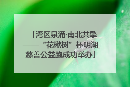 湾区泉涌·南北共擎——“花楸树”杯明湖慈善公益跑成功举办