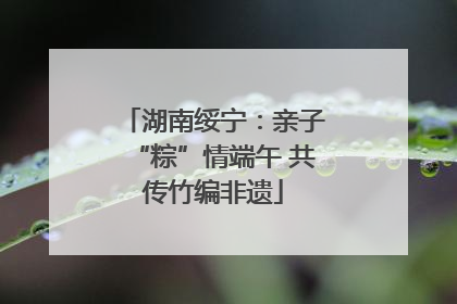 湖南绥宁：亲子“粽”情端午 共传竹编非遗