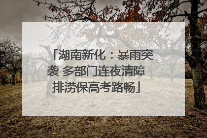 湖南新化：暴雨突袭 多部门连夜清障排涝保高考路畅