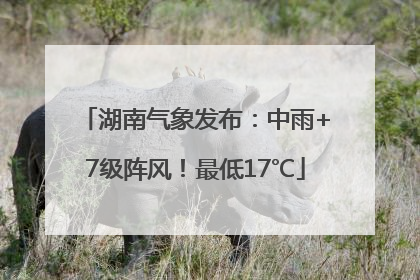 湖南气象发布：中雨+7级阵风！最低17℃