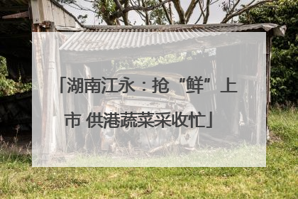 湖南江永：抢“鲜”上市 供港蔬菜采收忙