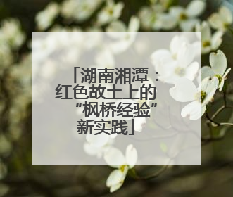湖南湘潭：红色故土上的“枫桥经验”新实践