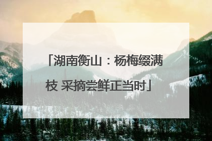 湖南衡山：杨梅缀满枝 采摘尝鲜正当时