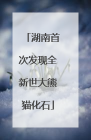 湖南首次发现全新世大熊猫化石