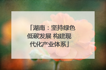 湖南：坚持绿色低碳发展 构建现代化产业体系