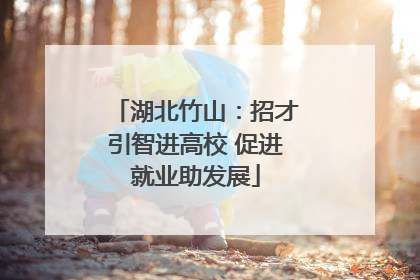 湖北竹山：招才引智进高校 促进就业助发展