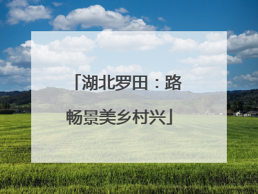湖北罗田：路畅景美乡村兴