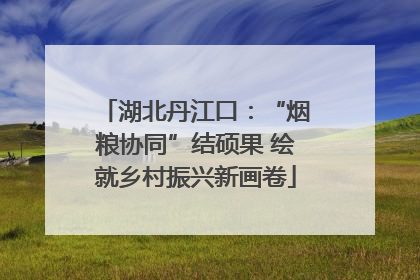 湖北丹江口：“烟粮协同”结硕果 绘就乡村振兴新画卷