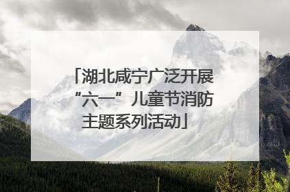 湖北咸宁广泛开展“六一”儿童节消防主题系列活动