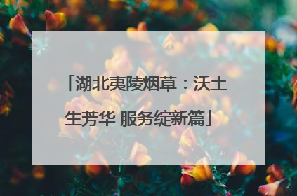 湖北夷陵烟草：沃土生芳华 服务绽新篇