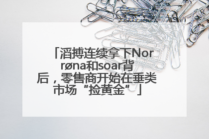 滔搏连续拿下Norrøna和soar背后，零售商开始在垂类市场“捡黄金”