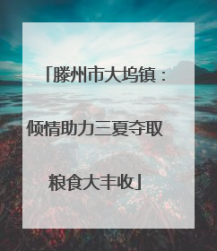 滕州市大坞镇：倾情助力三夏夺取粮食大丰收