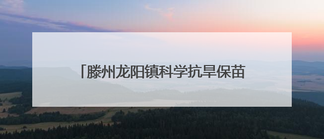 滕州龙阳镇科学抗旱保苗 力保万亩农田“解渴”