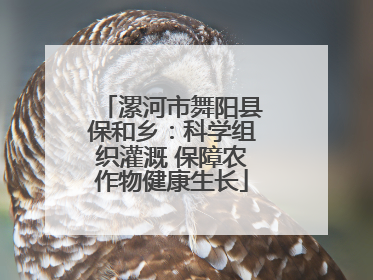 漯河市舞阳县保和乡：科学组织灌溉 保障农作物健康生长