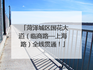 菏泽城区国花大道（临商路—上海路）全线贯通！
