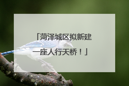 菏泽城区拟新建一座人行天桥！
