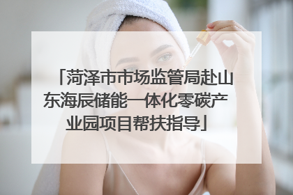 菏泽市市场监管局赴山东海辰储能一体化零碳产业园项目帮扶指导