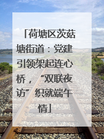 荷塘区茨菇塘街道：党建引领架起连心桥，“双联夜访”织就端午情