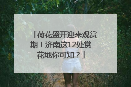 荷花盛开迎来观赏期！济南这12处赏花地你可知？