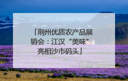 荆州优质农产品展销会：江汉“美味”亮相沙市码头