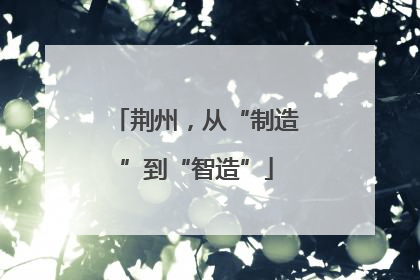 荆州，从“制造”到“智造”