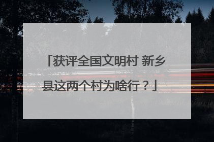 获评全国文明村 新乡县这两个村为啥行？