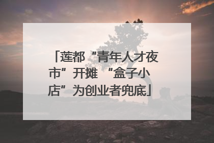 莲都“青年人才夜市”开摊 “盒子小店”为创业者兜底