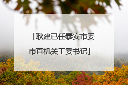 耿建已任泰安市委市直机关工委书记
