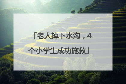 老人掉下水沟，4个小学生成功施救