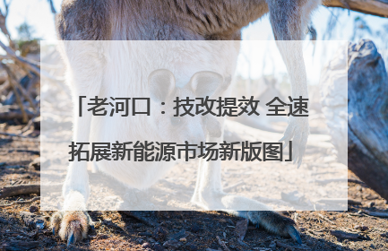 老河口：技改提效 全速拓展新能源市场新版图