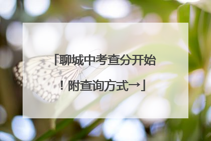 聊城中考查分开始！附查询方式→