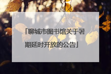 聊城市图书馆关于暑期延时开放的公告