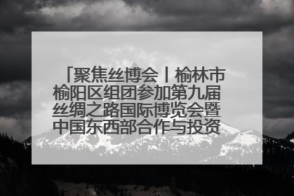 聚焦丝博会丨榆林市榆阳区组团参加第九届丝绸之路国际博览会暨中国东西部合作与投资贸易洽谈会