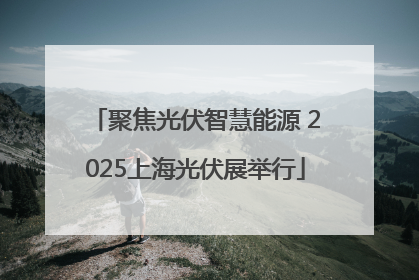 聚焦光伏智慧能源 2025上海光伏展举行