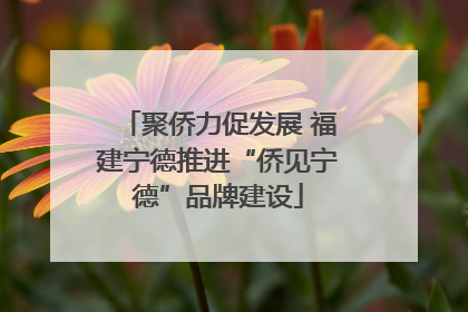 聚侨力促发展 福建宁德推进“侨见宁德”品牌建设
