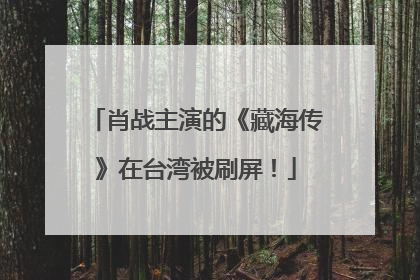 肖战主演的《藏海传》在台湾被刷屏！