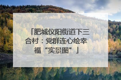 肥城仪阳街道下三合村：党群连心绘幸福“实景图”